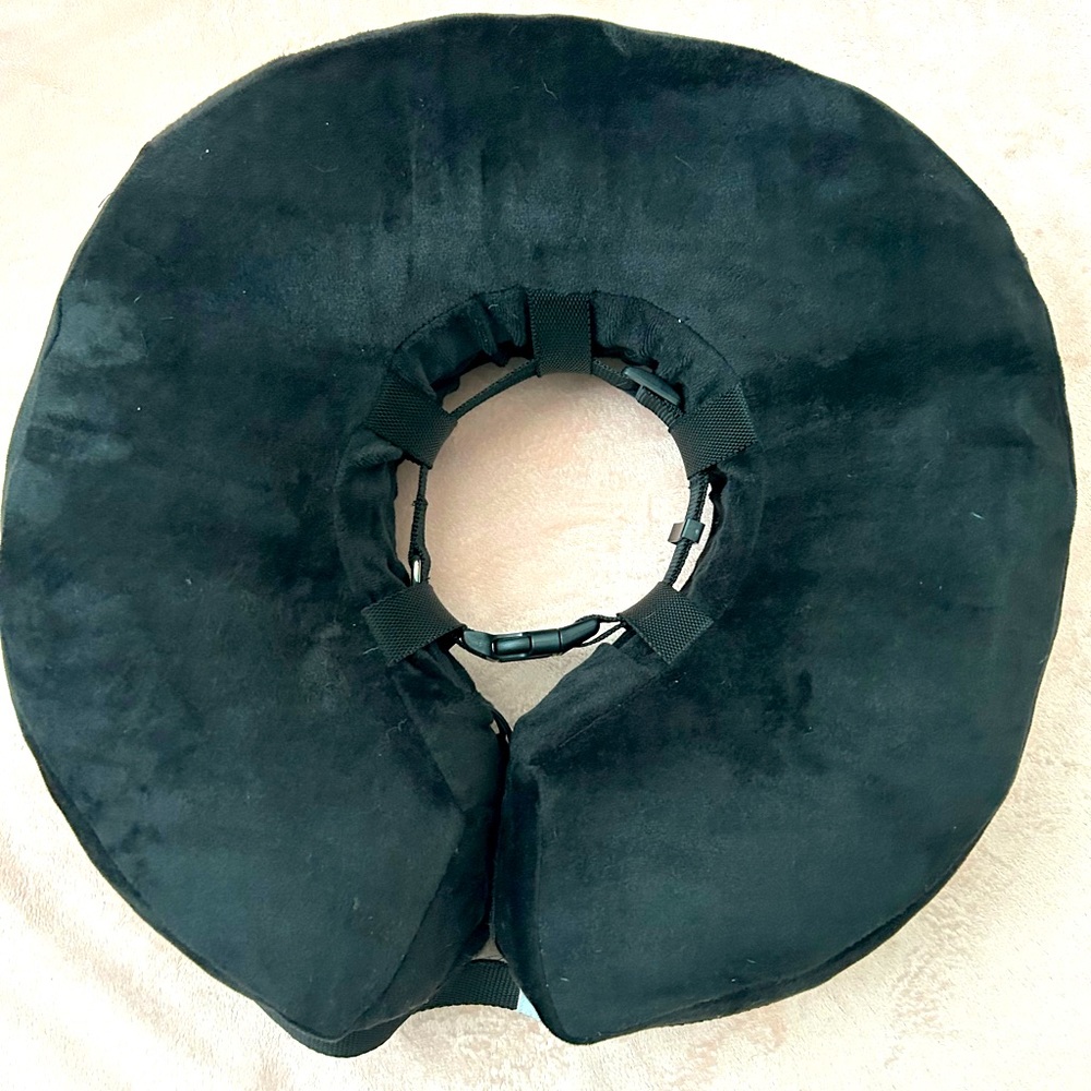 Dog Cone Cushion